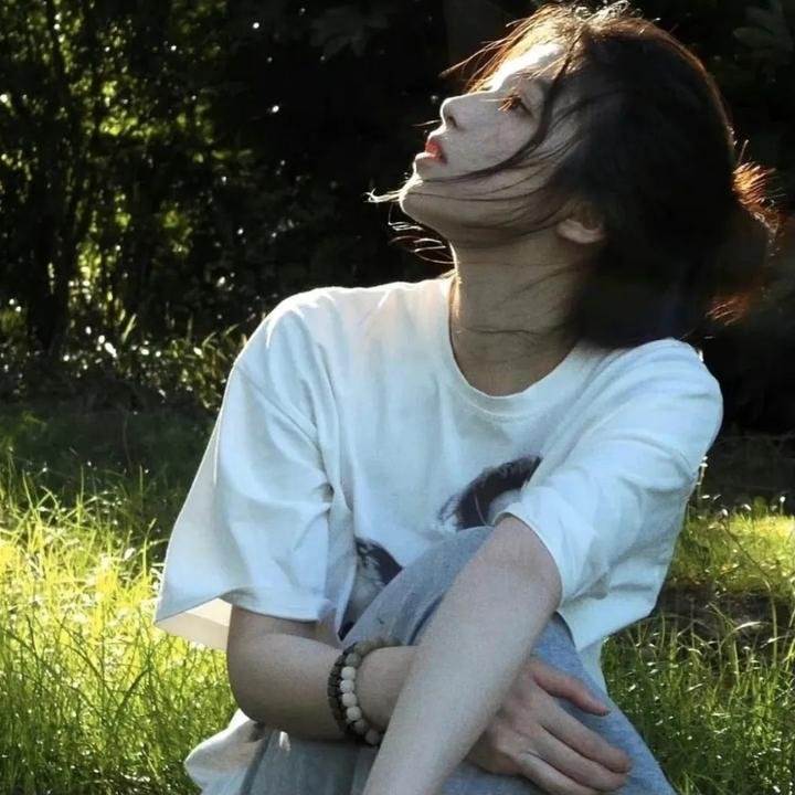 房车奇遇